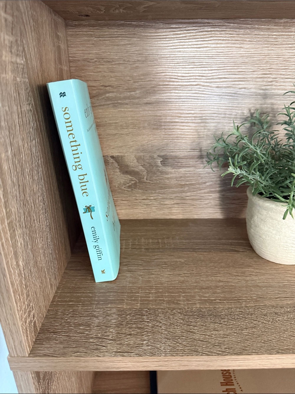 Something Blue by Emily Giffin Paperback | Sequel to Something Borrowed